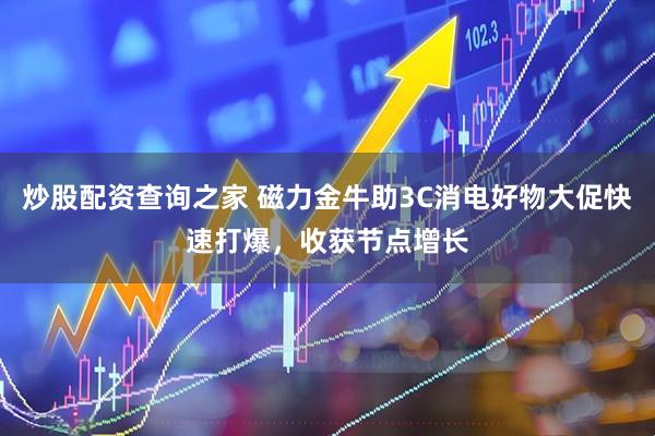 炒股配资查询之家 磁力金牛助3C消电好物大促快速打爆，收获节点增长