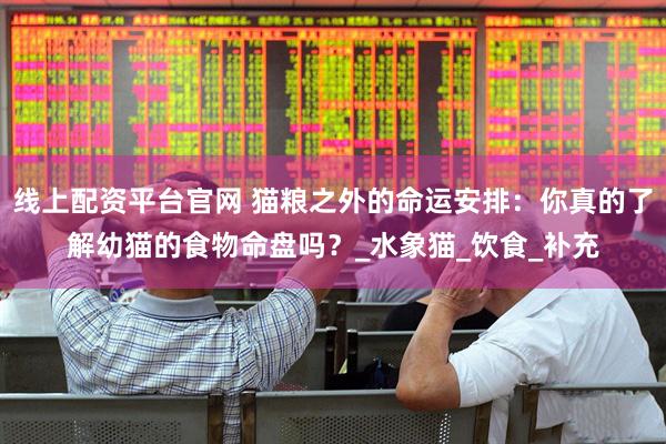 线上配资平台官网 猫粮之外的命运安排：你真的了解幼猫的食物命盘吗？_水象猫_饮食_补充