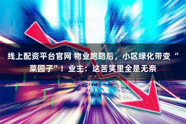 线上配资平台官网 物业跑路后，小区绿化带变 “菜园子”！业主：这苦笑里全是无奈